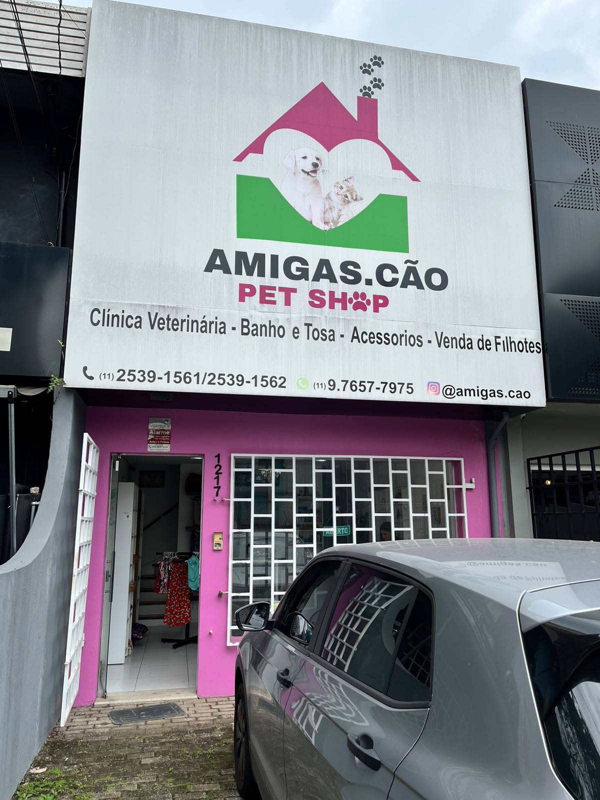 Amigas.cao
