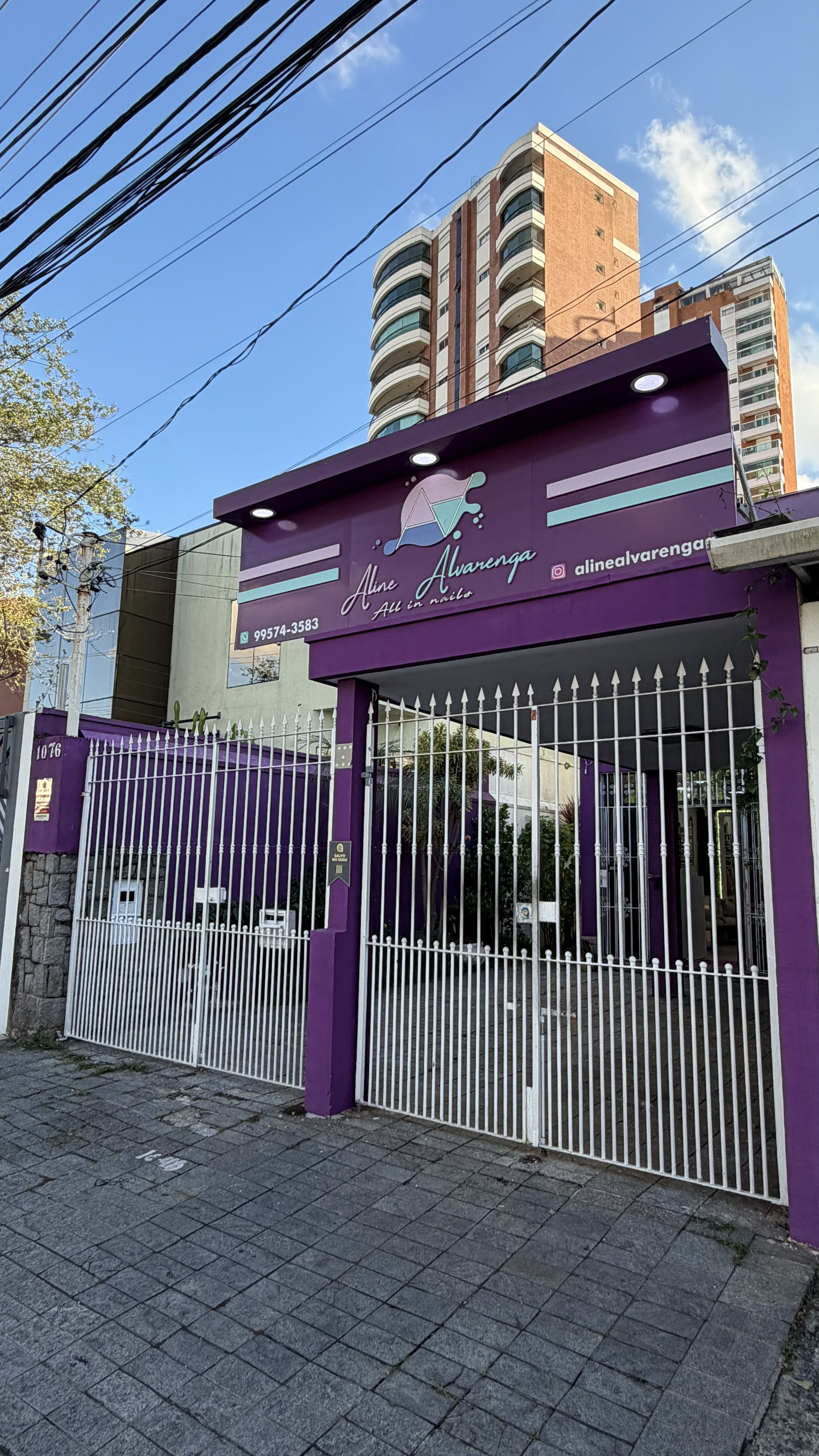Aline Alvarenga Studio
